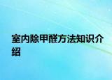 室内除甲醛方法知识介绍