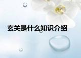 玄关是什么知识介绍