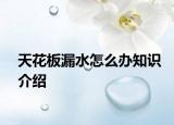 天花板漏水怎么办知识介绍