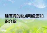 硅藻泥的缺点和危害知识介绍