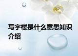 写字楼是什么意思知识介绍