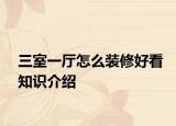 三室一厅怎么装修好看知识介绍