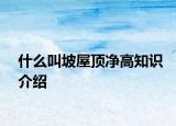 什么叫坡屋顶净高知识介绍