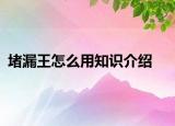堵漏王怎么用知识介绍