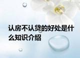 认房不认贷的好处是什么知识介绍