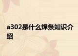 a302是什么焊条知识介绍