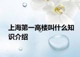 上海第一高楼叫什么知识介绍