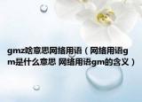 gmz啥意思网络用语（网络用语gm是什么意思 网络用语gm的含义）