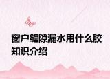 窗户缝隙漏水用什么胶知识介绍