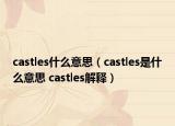 castles什么意思（castles是什么意思 castles解释）
