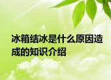 冰箱结冰是什么原因造成的知识介绍
