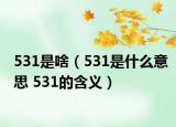 531是啥（531是什么意思 531的含义）