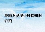 冰箱不制冷小妙招知识介绍