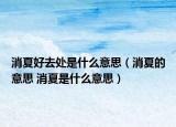 消夏好去处是什么意思（消夏的意思 消夏是什么意思）