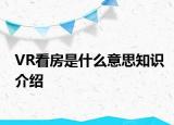 VR看房是什么意思知识介绍