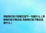 高射炮打蚊子的歇后语下一句是什么（高射炮打蚊子歇后语 高射炮打蚊子歇后语是什么）