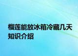 榴莲能放冰箱冷藏几天知识介绍