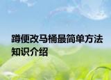 蹲便改马桶最简单方法知识介绍
