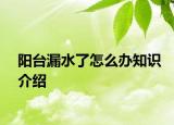 阳台漏水了怎么办知识介绍