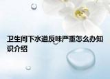 卫生间下水道反味严重怎么办知识介绍