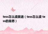 tess怎么读英语（tess怎么读 tess的意思）