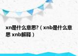xn是什么意思?（xnb是什么意思 xnb解释）