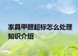家具甲醛超标怎么处理知识介绍