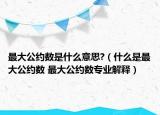 最大公约数是什么意思?（什么是最大公约数 最大公约数专业解释）