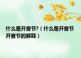 什么是开音节?（什么是开音节 开音节的解释）