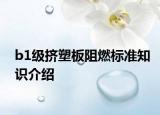 b1级挤塑板阻燃标准知识介绍