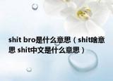 shit bro是什么意思（shit啥意思 shit中文是什么意思）