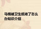 马桶被卫生纸堵了怎么办知识介绍