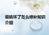 瓷砖坏了怎么修补知识介绍