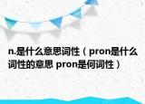 n.是什么意思词性（pron是什么词性的意思 pron是何词性）