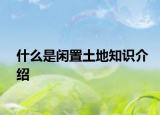 什么是闲置土地知识介绍