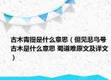 古木青提是什么意思（但见悲鸟号古木是什么意思 蜀道难原文及译文）