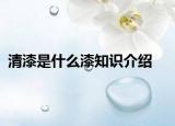 清漆是什么漆知识介绍