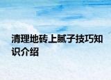 清理地砖上腻子技巧知识介绍