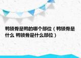 鸭锁骨是鸭的哪个部位（鸭锁骨是什么 鸭锁骨是什么部位）