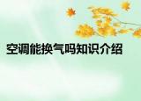 空调能换气吗知识介绍