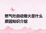 燃气灶自动熄火是什么原因知识介绍