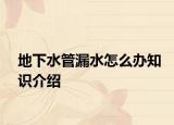 地下水管漏水怎么办知识介绍