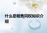 什么是租售同权知识介绍