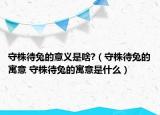 守株待兔的意义是啥?（守株待兔的寓意 守株待兔的寓意是什么）