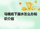 马桶底下漏水怎么办知识介绍