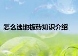 怎么选地板砖知识介绍