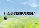 什么是铠装电缆知识介绍