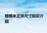 榻榻米正常尺寸知识介绍