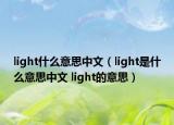 light什么意思中文（light是什么意思中文 light的意思）