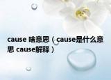 cause 啥意思（cause是什么意思 cause解释）